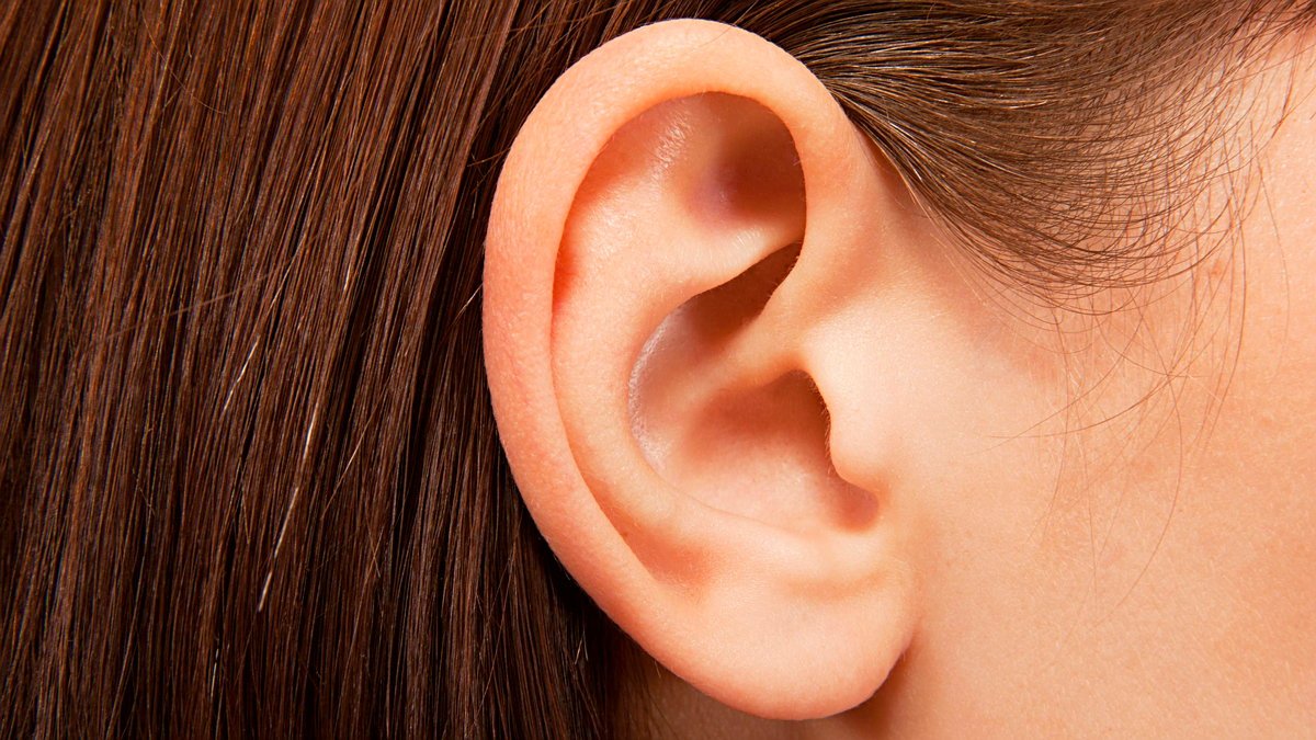 İnsan Kulaklarının Duyma Dışındaki Bazı İlginç İşlevleri