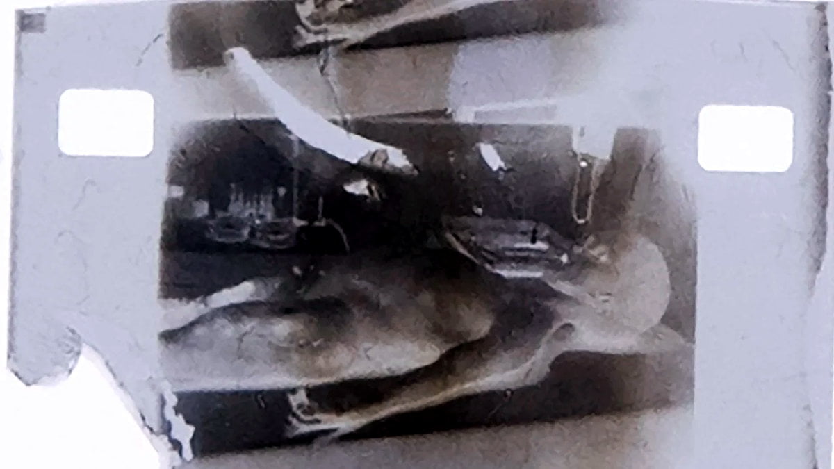 1947’de Çekildiği Söylenen ‘Uzaylı Otopsisi’ Fotoğrafı, NFT Olarak Satışa Çıkarıldı