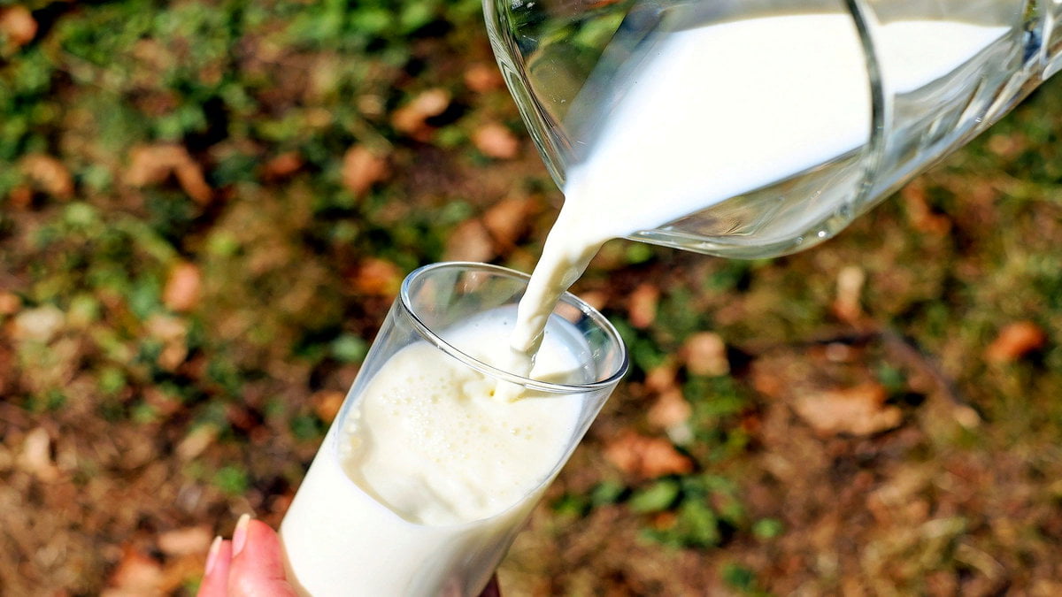 Çiğ Sütün Litre Fiyatına %47 Zam Geldi
