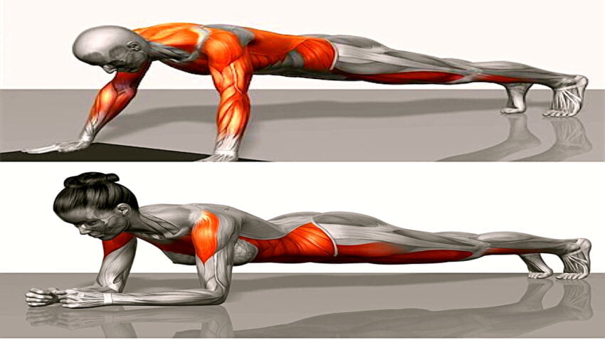 Faydaları Saymakla Bitmeyen Egzersiz: Plank Hareketi Nedir, Nasıl Yapılır?