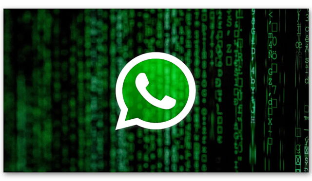 Virüsler Fotoğraf Gibi Gösterilebilir! WhatsApp’ta Hayati Güvenlik Açığı: