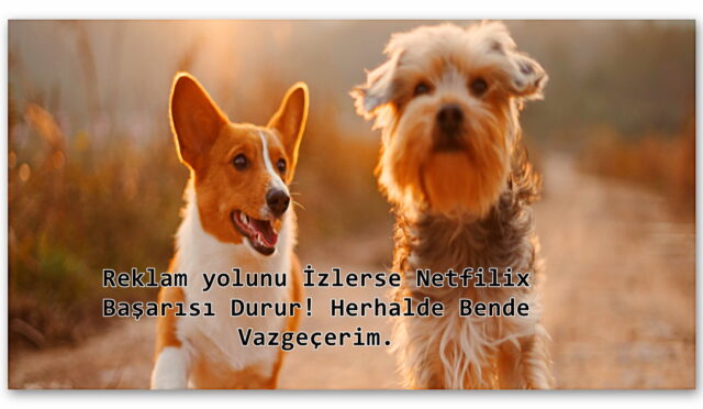 Netflix, Yakında Film ve Dizilerin Ortasında Yapay Zekâ Tarafından Oluşturulan Reklamlar Gösterecek! (Filmi Durdurunca da Reklam Çıkacak)
