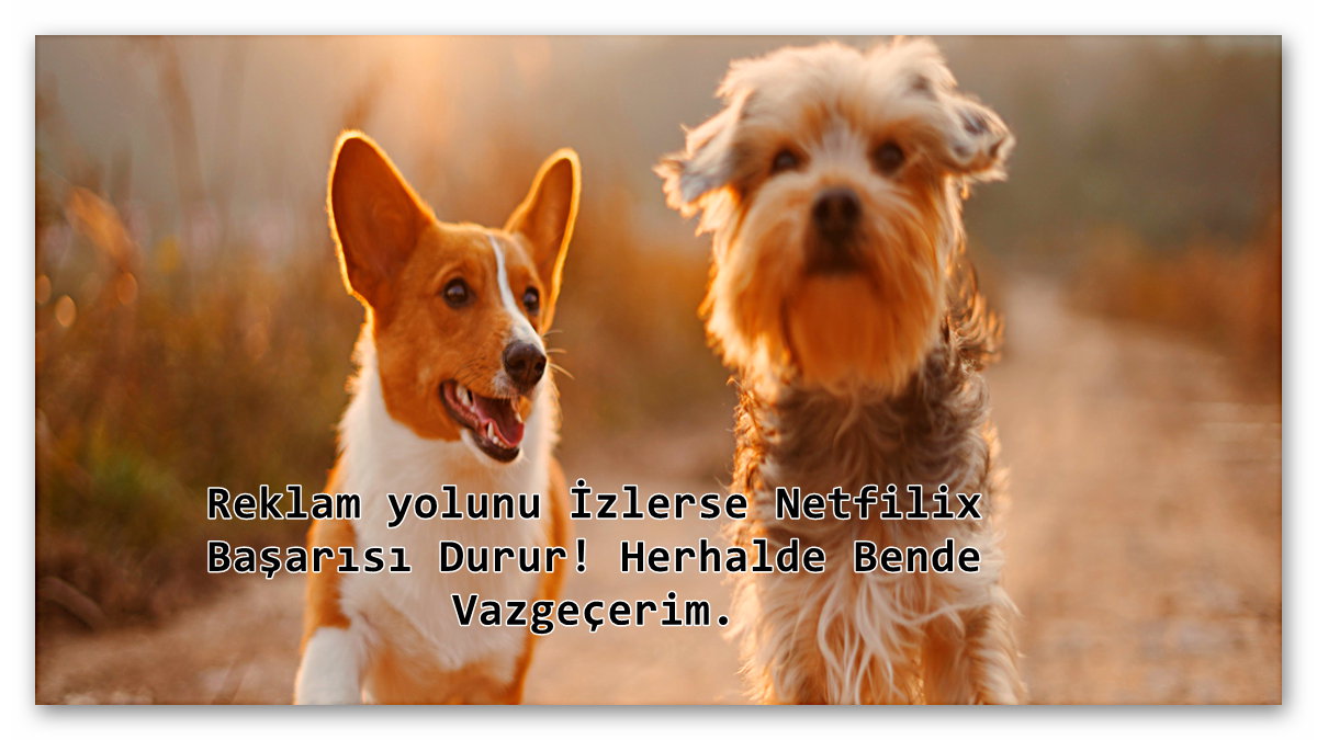 netfilixin-sonu-olur